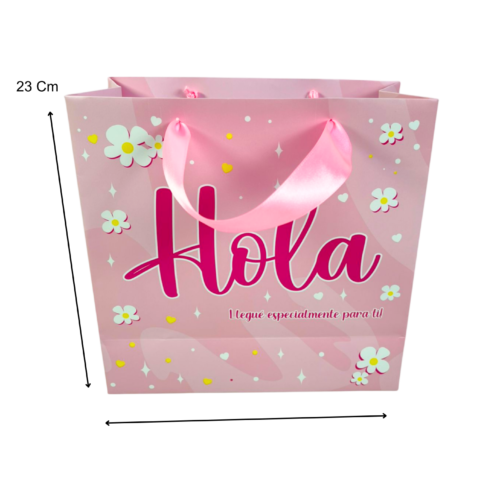 Bolsa hola (Paquete x 12) - 23cm x 23cm