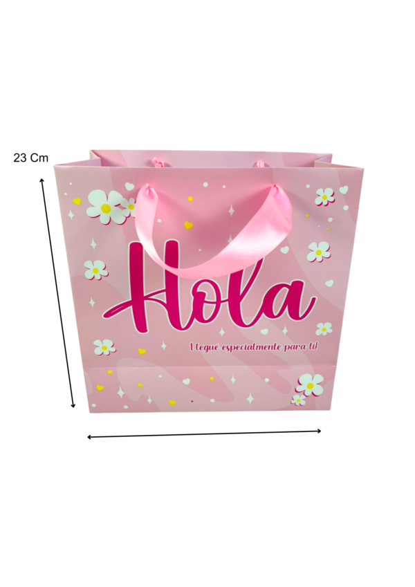 Bolsa hola (Paquete x 12) - 23cm x 23cm