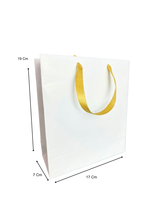 Bolsa mediana blanca (Paquete x12) - 19cm x 17cm