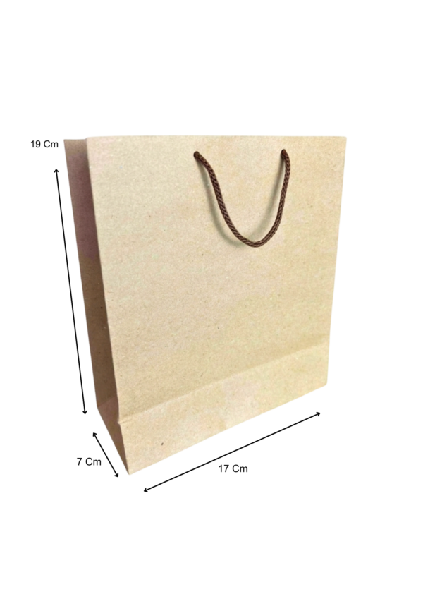 Bolsa mediana kraft (Paquete x12) - 19cm x 17cm